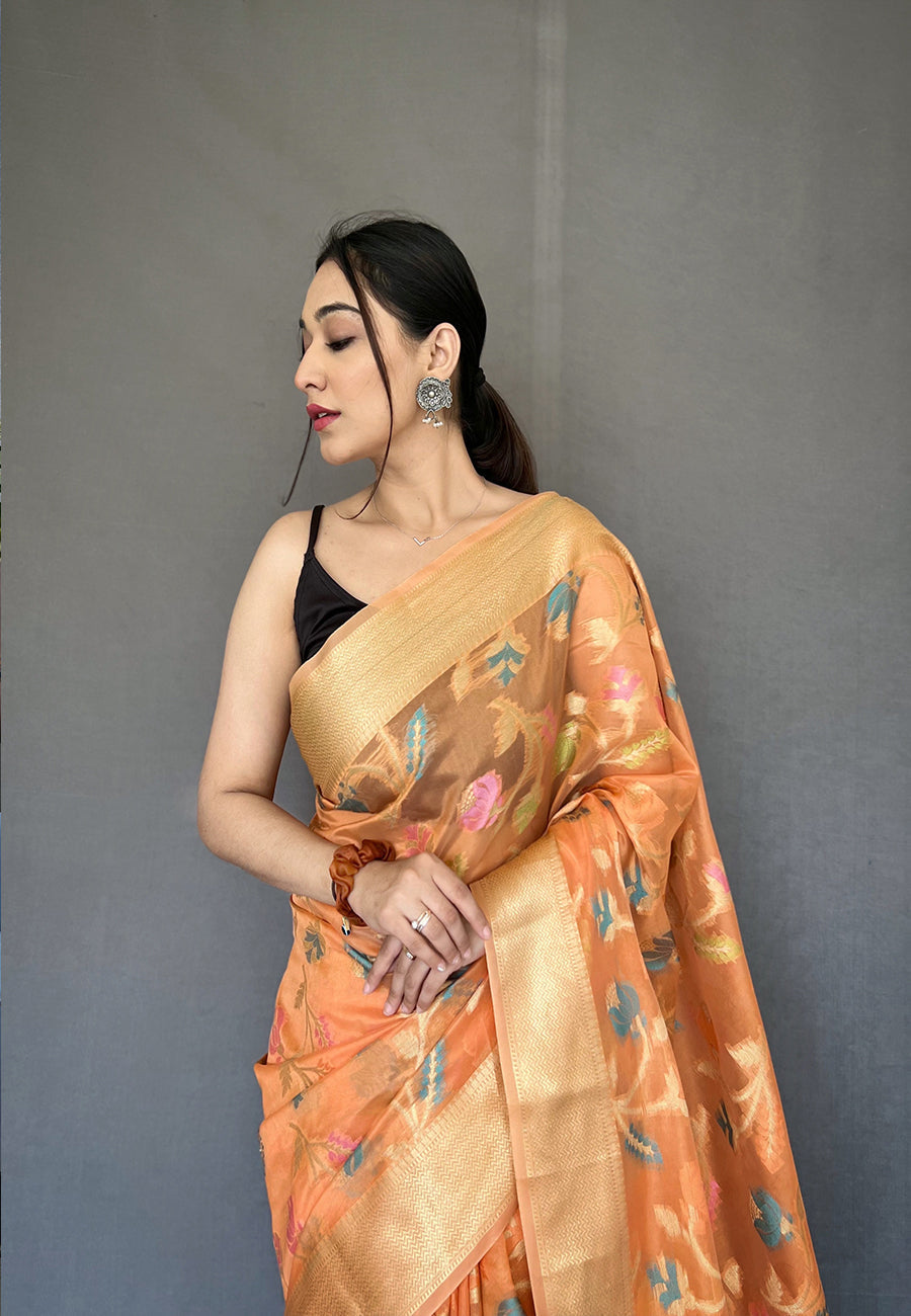 Peach Barfi Organza Silk Woven Saree